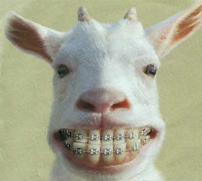 sourrire d'enfer